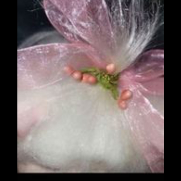 NURSERY, BABY SHOWER, SPRING ADORABLE ANNE GEDDES VINTAGE LG "BUNNY" BABY DOLL - Picture 6 of 10